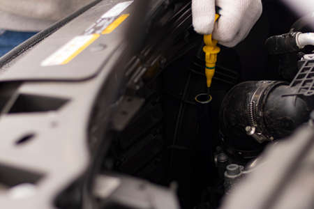 The Race Between Hydrogen Fuel Cells and Battery EVs: Which Will Win?