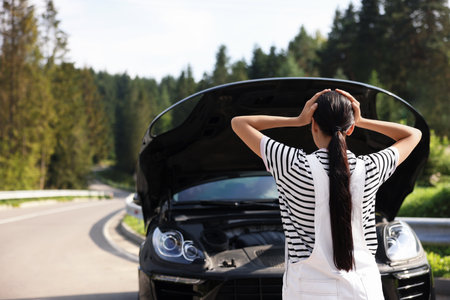 The Rise of Affordable EVs: Best Budget-Friendly Electric Cars