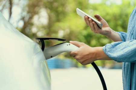 The Role of Comprehensive Coverage in Protecting Your Car from Theft and Vandalism